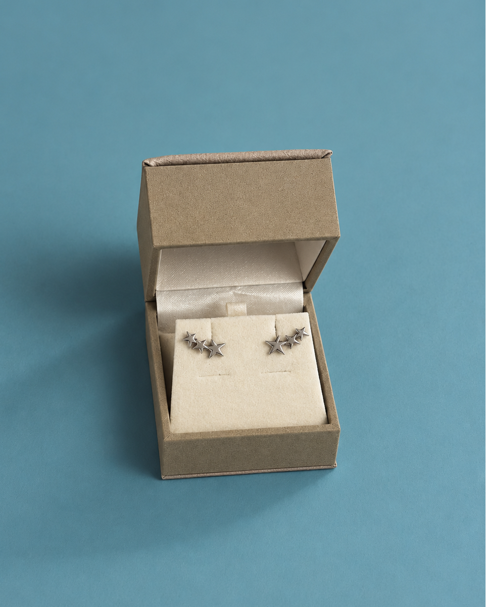Aretes Sloane Snow