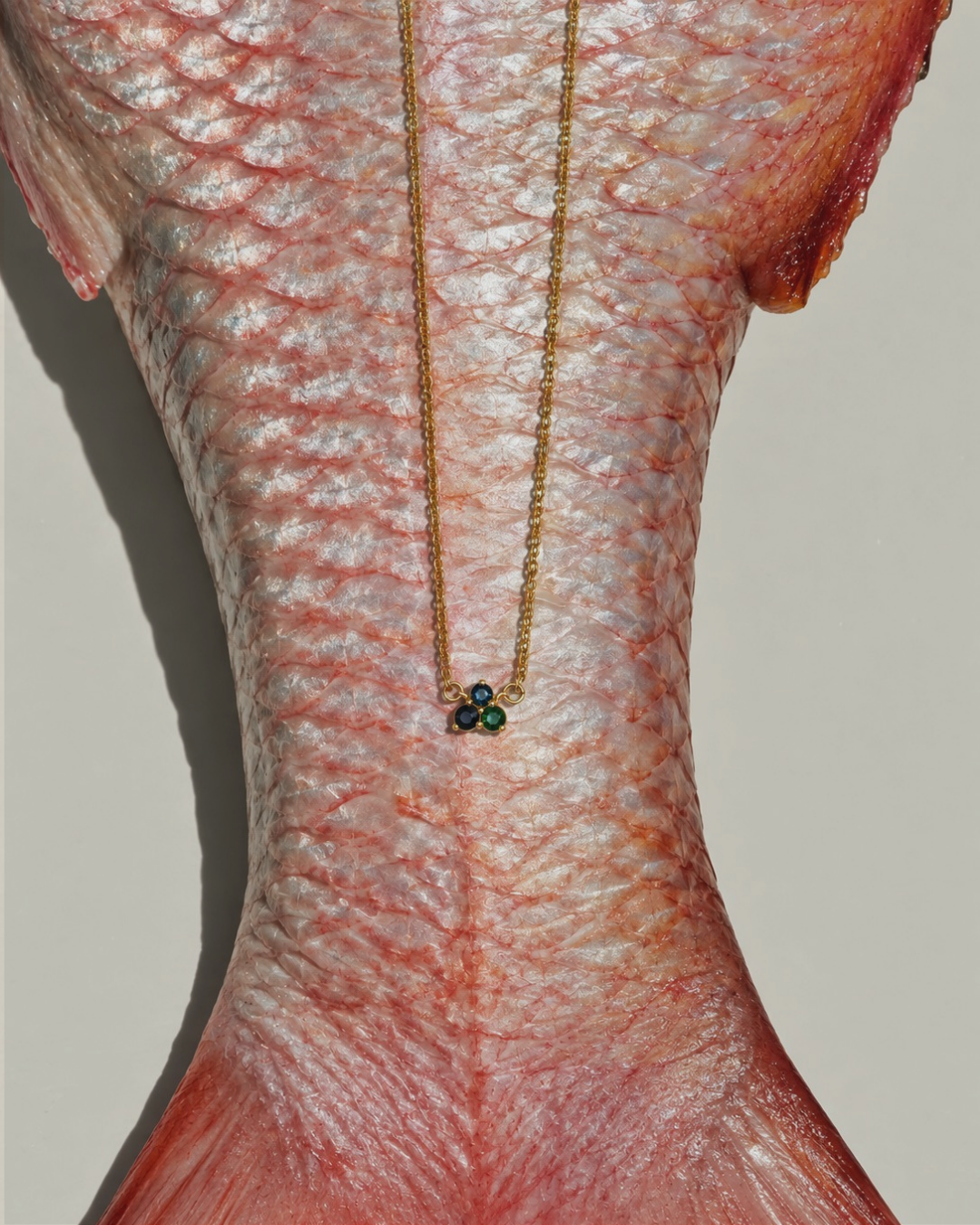 Collar Ziggie